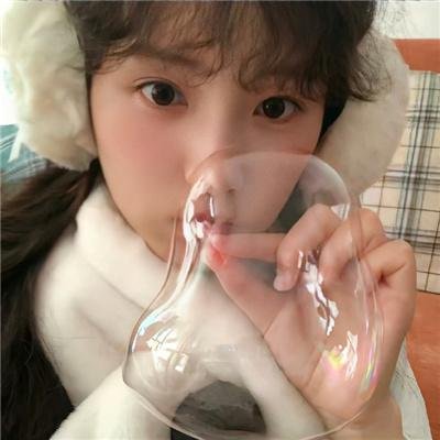 驯鹿大冒险：超越北极光